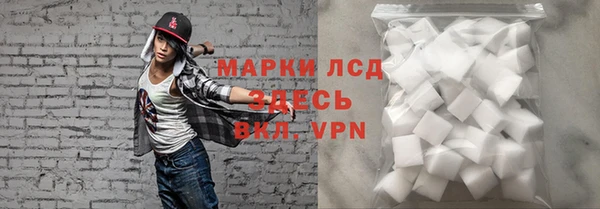 стаф Арсеньев