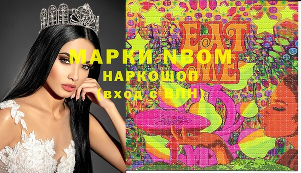 стаф Арсеньев