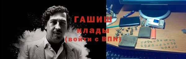 хмурый Осинники