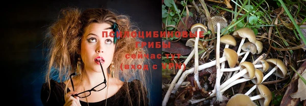 дурь Осташков