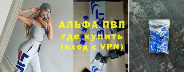 стаф Арсеньев