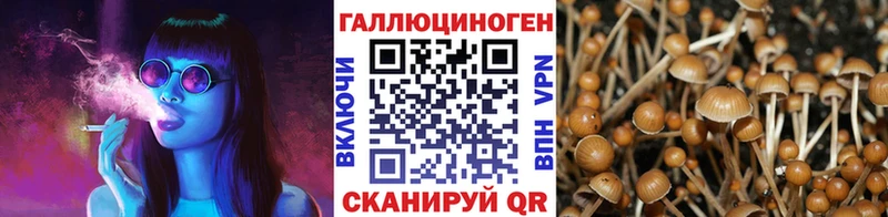 купить наркотик  Нижний Новгород  Псилоцибиновые грибы ЛСД 