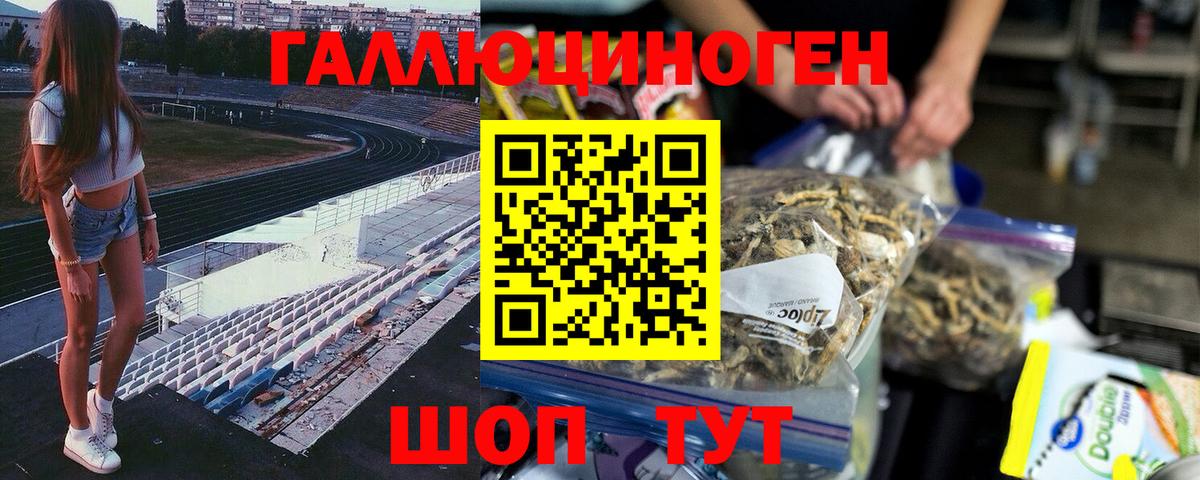 Псилоцибиновые грибы прущие грибы Нижний Новгород